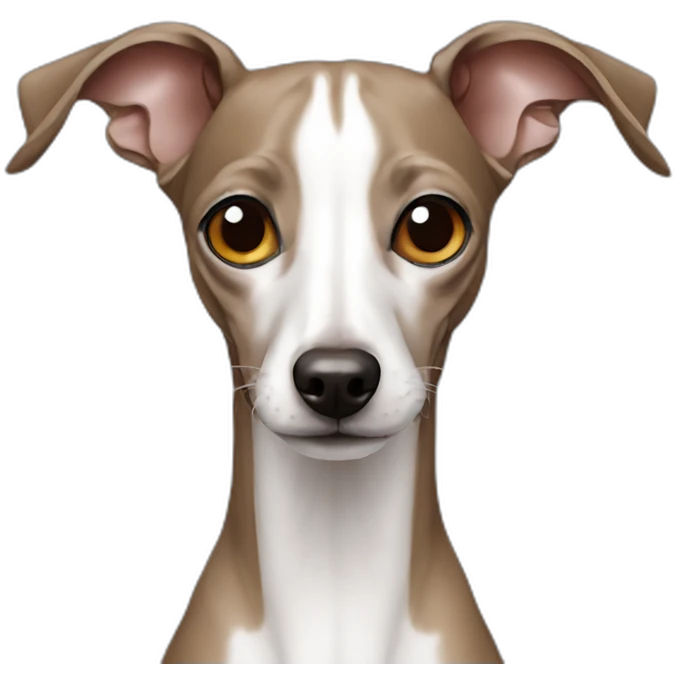 italian greyhound emoji