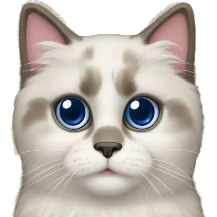 Ragdoll cat marking territory on the carpet emoji