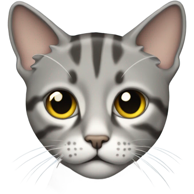 liam gallagher as a grey tabby cat emoji