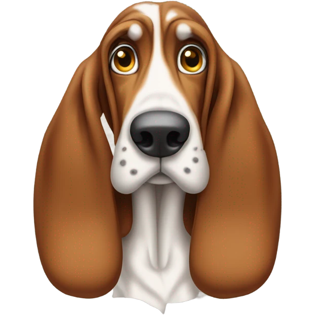 Basset hound  emoji