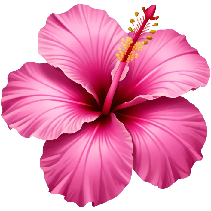 Pink hibiscus flower emoji