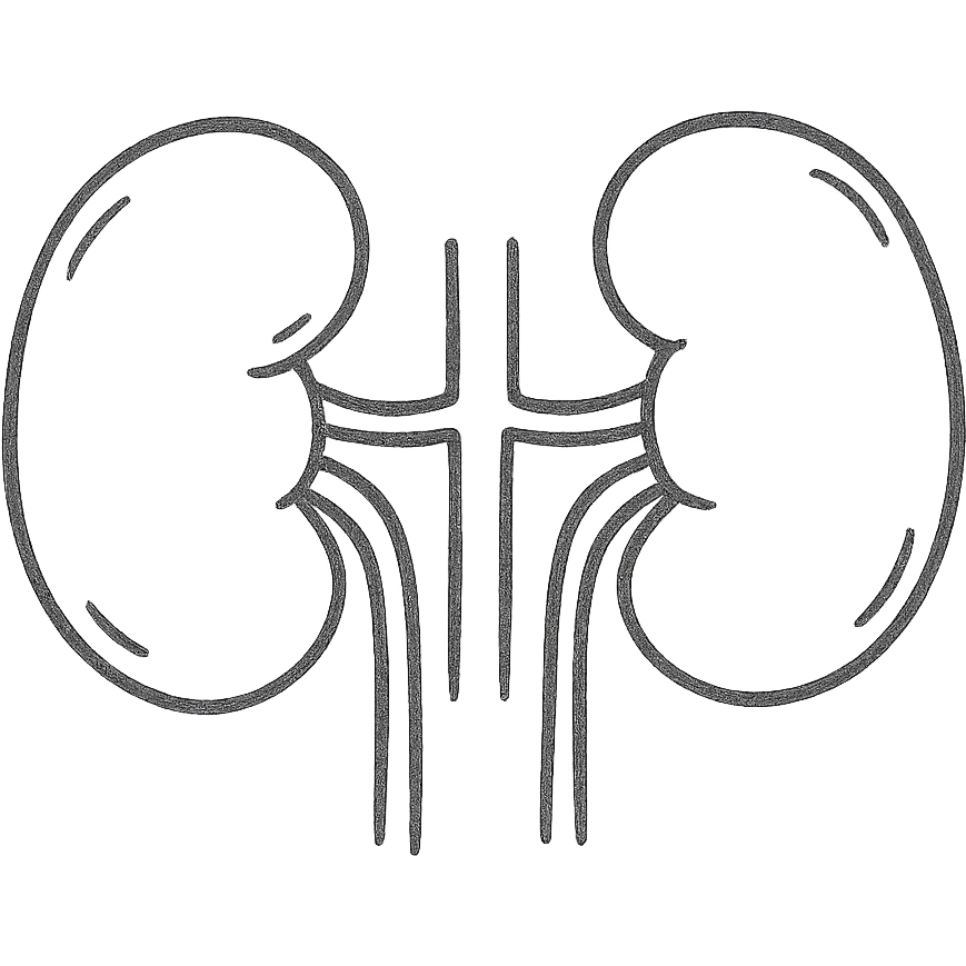 kidneys emoji