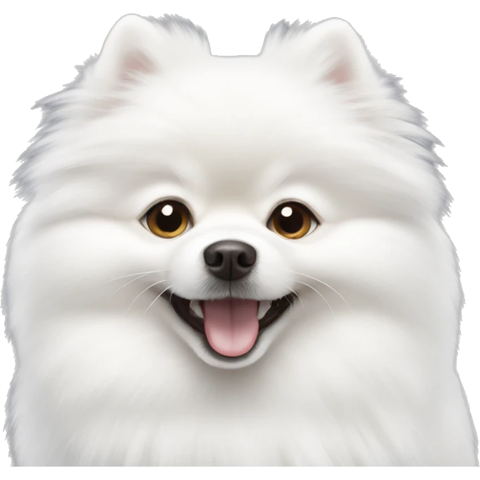 Most pure White pomeranian with smile emoji
