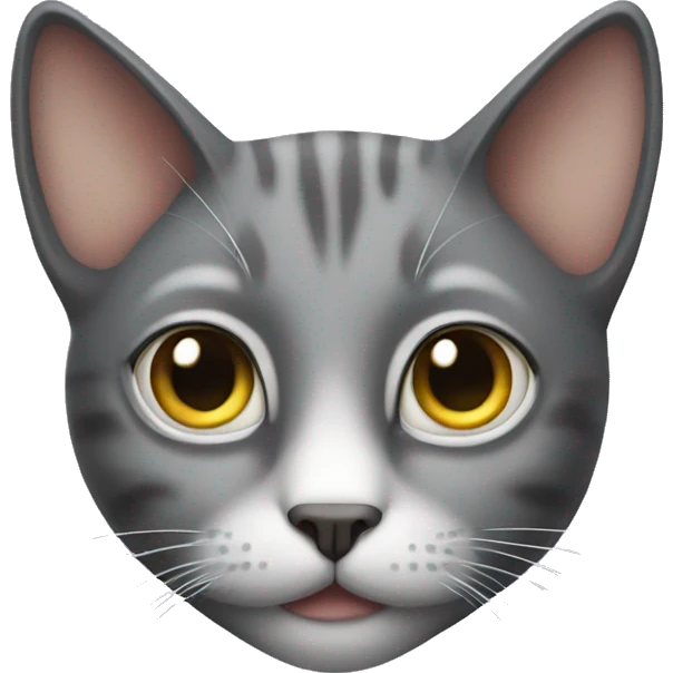 cat with star eyes emoji