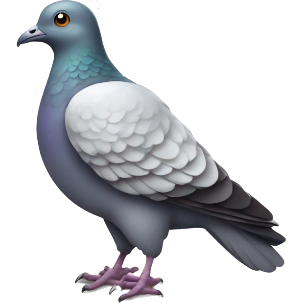 pigeon with magical letter in it's feet emoji
