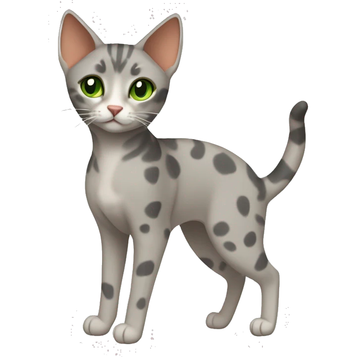 Short-haired oriental cat ,full body , grey coat with spots , green eyes , terracotta nuzzle emoji
