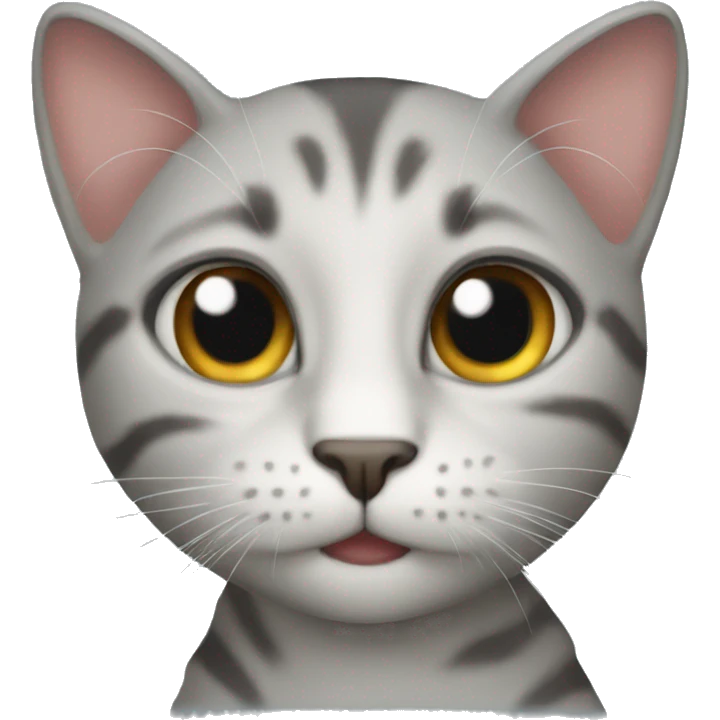 Een kat emoji
