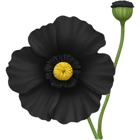 Black poppy emoji