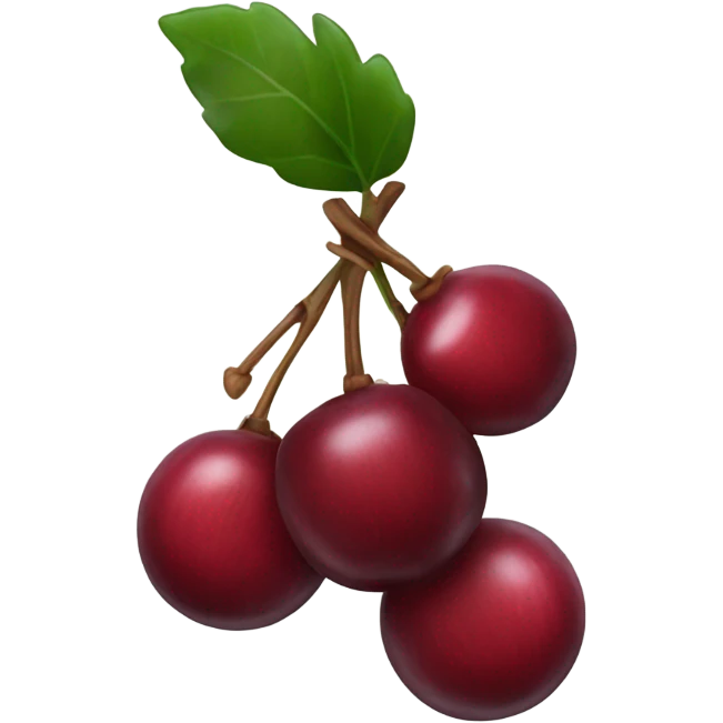 bundle of three cranberries emoji