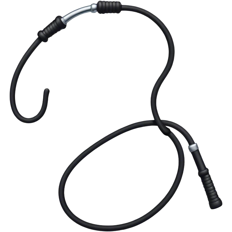Short Black riding whip  emoji