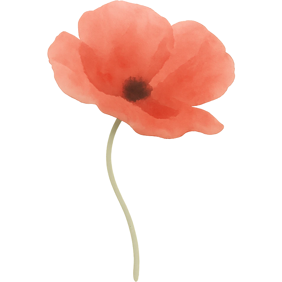 very detailed poppy flower, vibrant red petals, delicate green stem, no background emoji