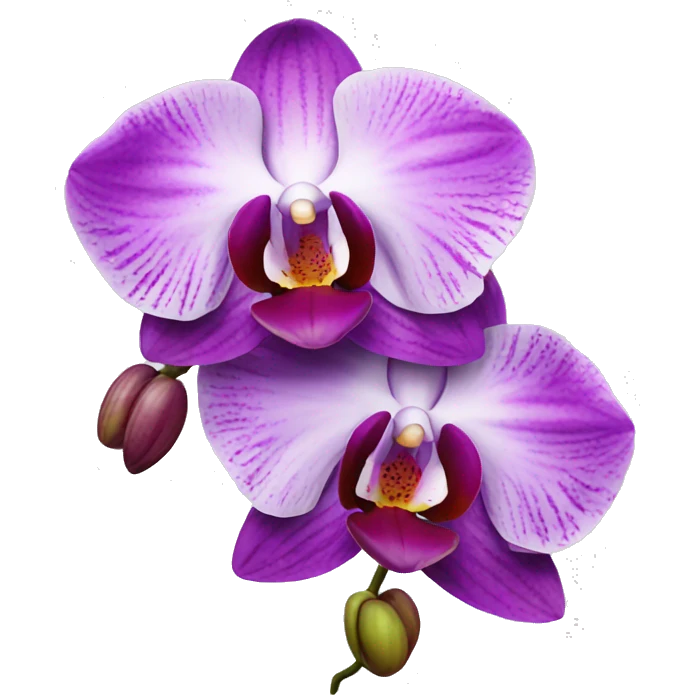 Orchid emoji