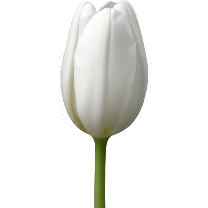 White tulip with sem emoji