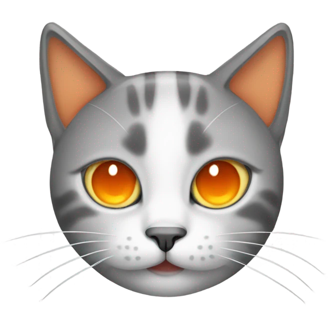 Cat with two orange slices over its eyes  emoji