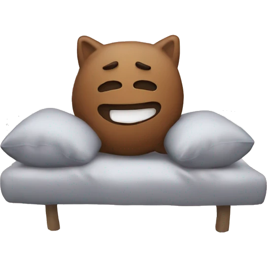 Aesthetic cozy cushion  emoji
