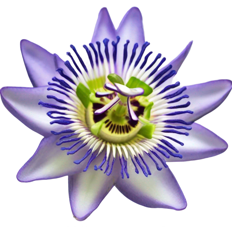 passion flower emoji