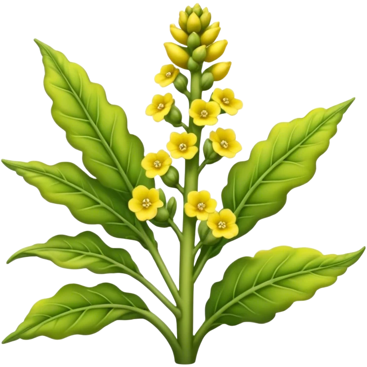 Mullein herb  emoji