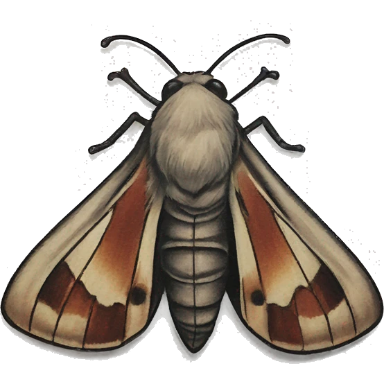 Moth tattoo emoji