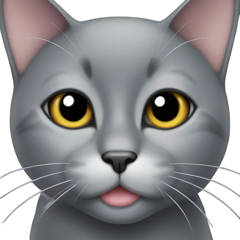 Black cat with white chin emoji