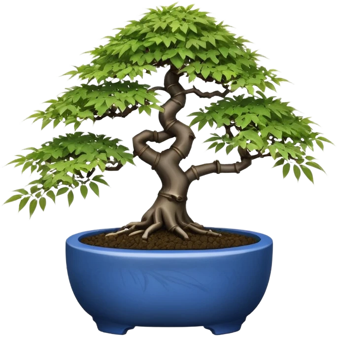 Japanese egg-shaped dark bamboo blue maple tree bonsai pot emoji