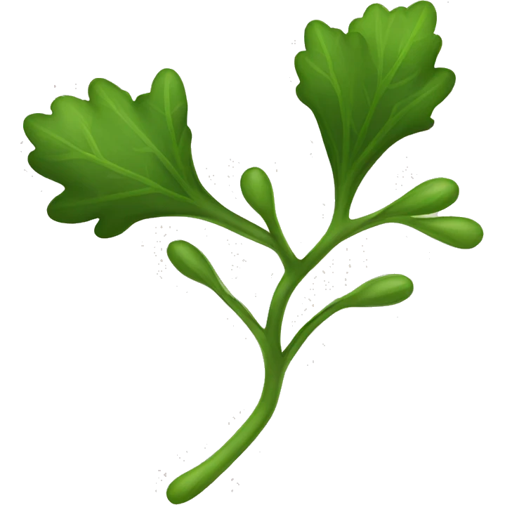 Mistletoe  emoji