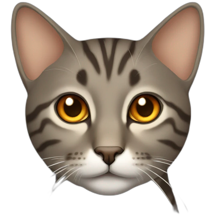 Tabby slightly brown gray cat with beige mouth and dark nose and orange golden eyes emoji