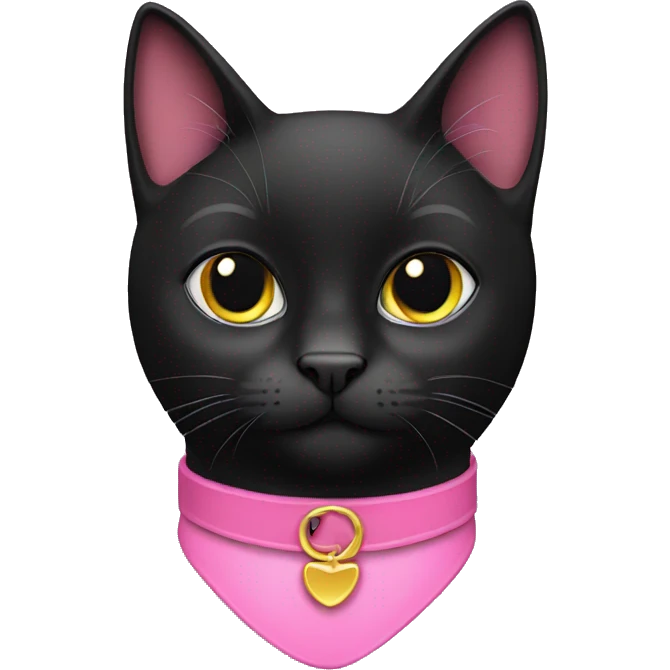 Black cat pink collar  emoji