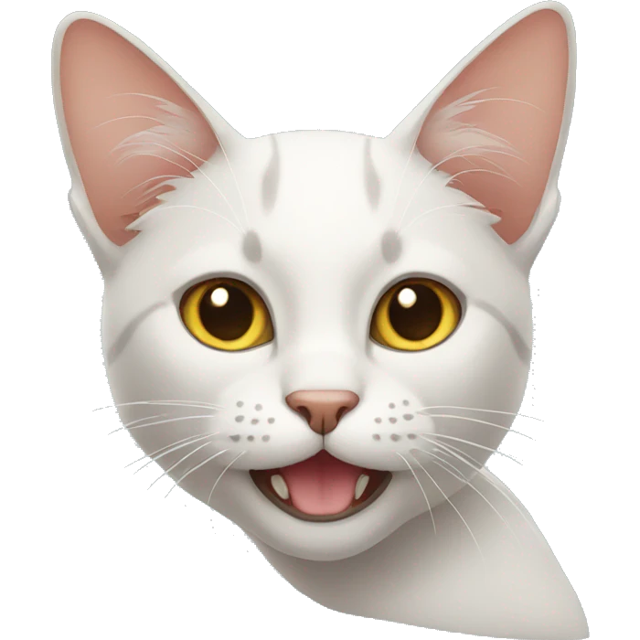Cat emoji