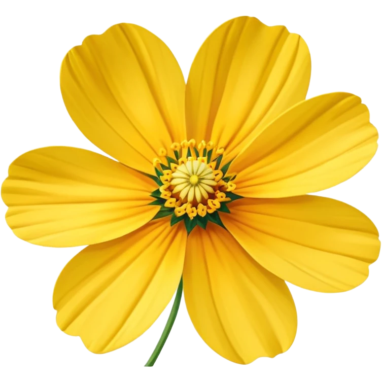 yellow cosmos flower emoji