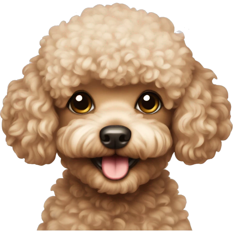 Toy poodle  emoji