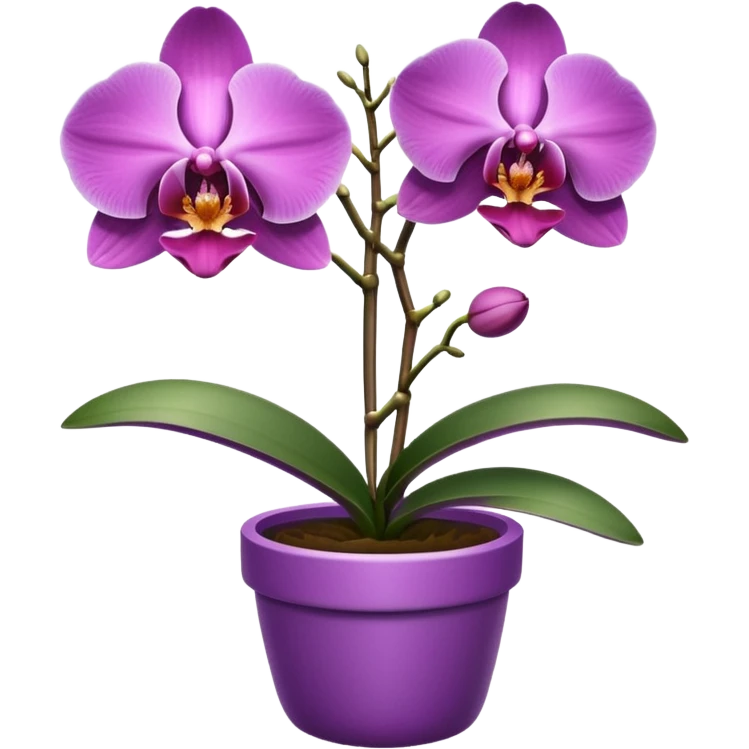Purple Orchid in a pink pot emoji