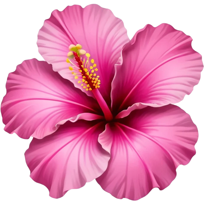 Pink hibiscus ￼ emoji