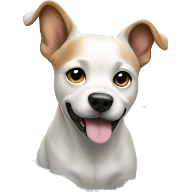 Dog white puddle emoji