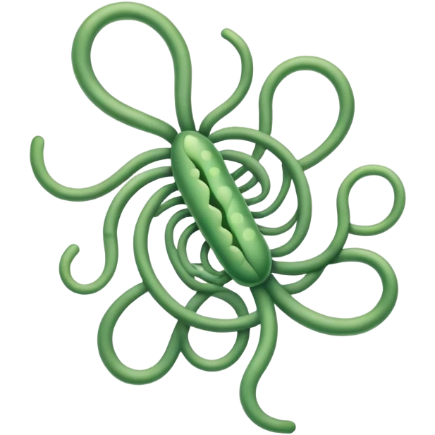 helicobacter pylori emoji