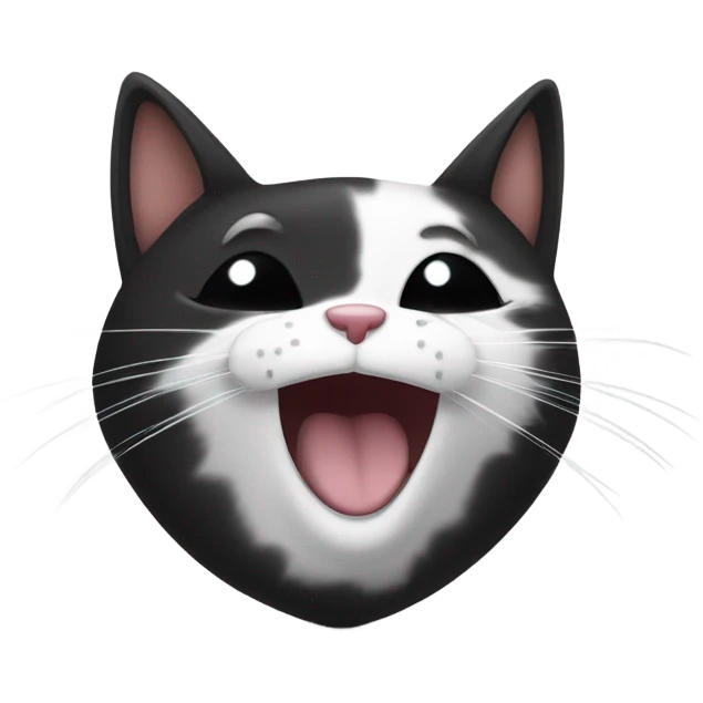 Black and white cat winking emoji