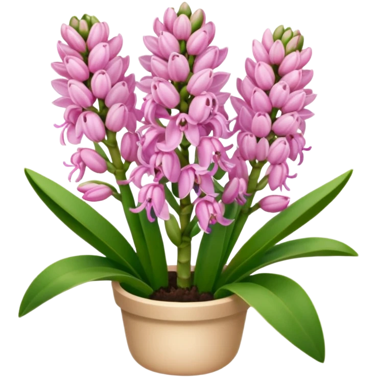 Pink hyacinth emoji