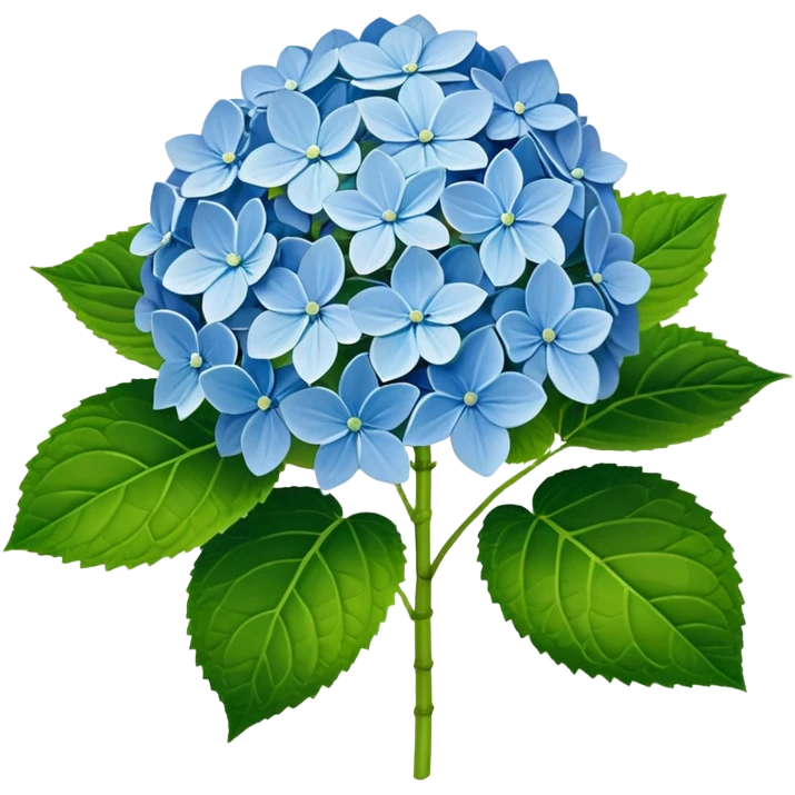 3D Realistic Still life ultra colorful and detailed, Hydrangea macrophylla, green leaves emoji