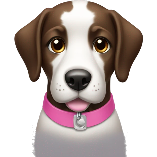 black and white dog with a pink collar and brown eyes  emoji