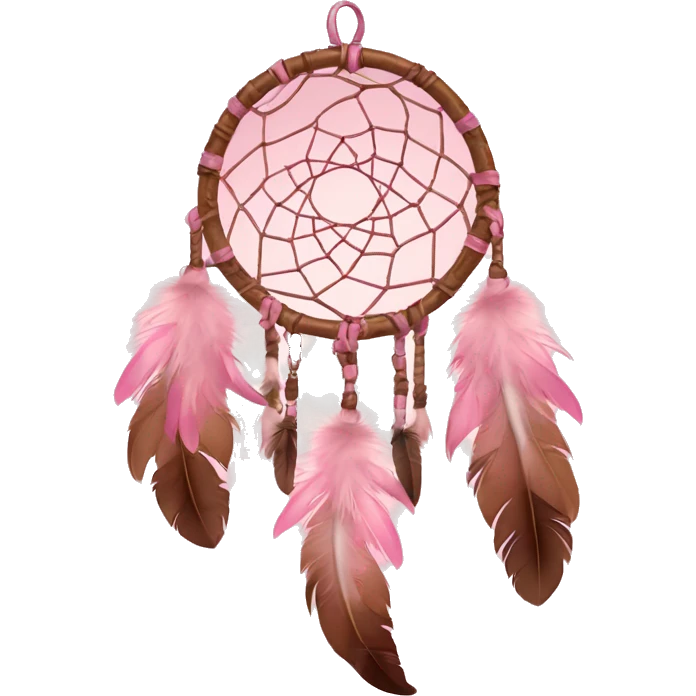  pink and brown dream catcher with feathers  emoji