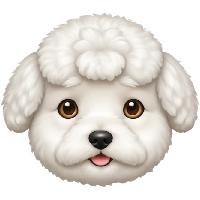 white bichon frise face with round head like popcorn hair emoji