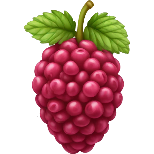 raspberry  emoji