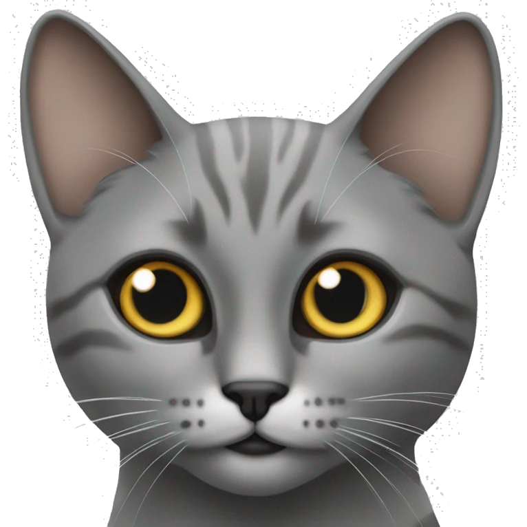 Chat gris avec un chat siamois emoji
