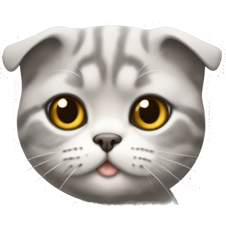 scottish fold cat  emoji