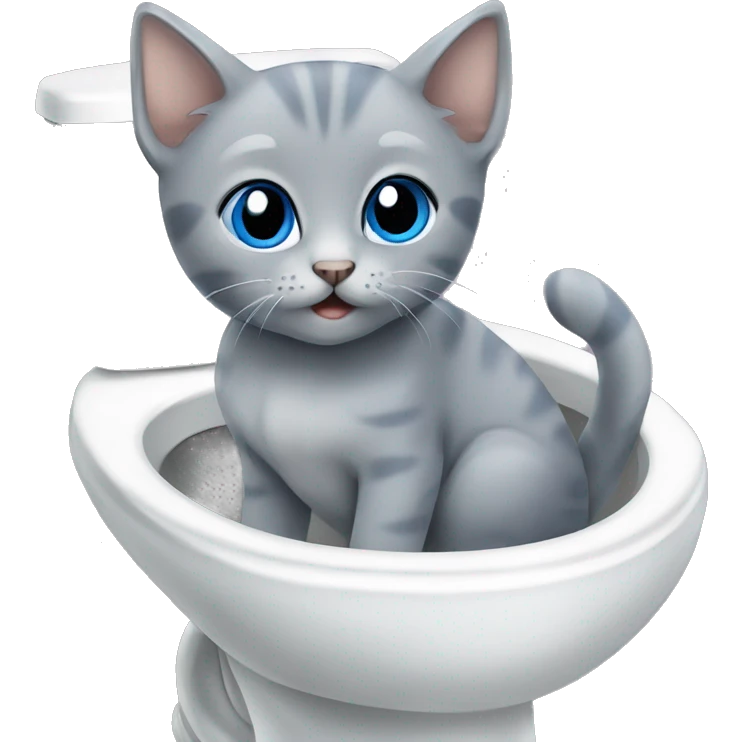 blue eyes grey kitten and toilet  emoji