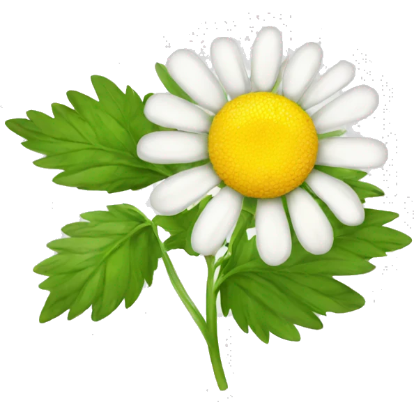CHAMOMILE with leaf emoji