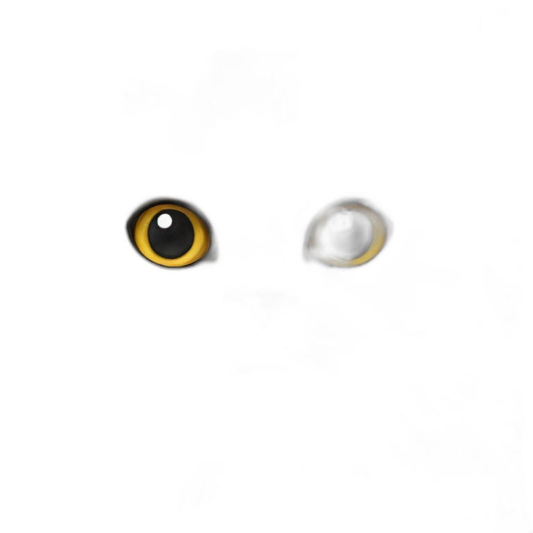 Himalayan Persian cat  emoji