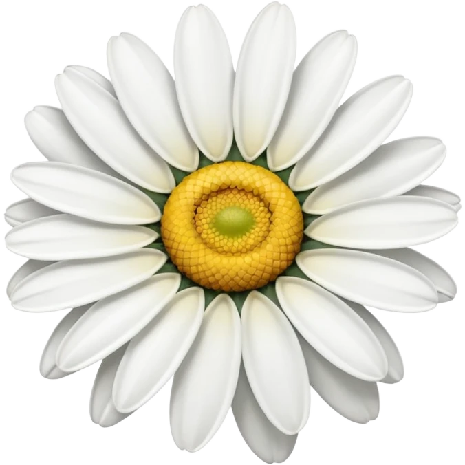 Daisy flower emoji
