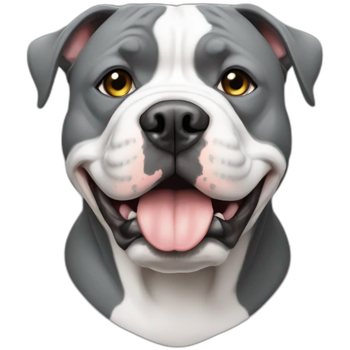 American bully grey and white  emoji