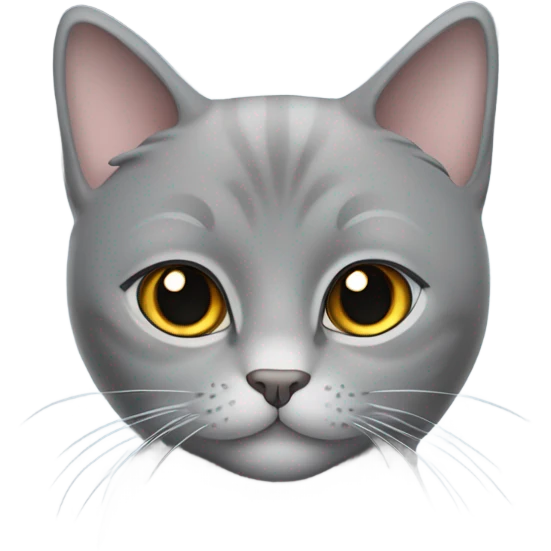 Girly British grey cat  emoji
