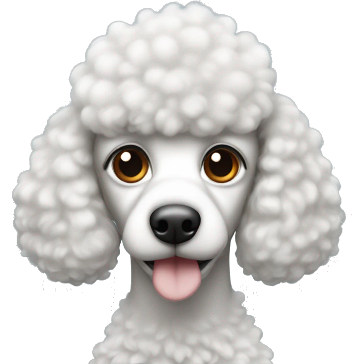 It's a poodle mixed with black and white, but the fish is black and the nose is a little white, and the forehead has a flame pattern emoji